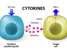 Cytokines_integrativepro