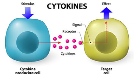 Cytokines_integrativepro