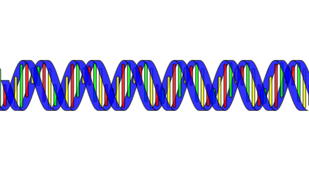 DNA_pixabay