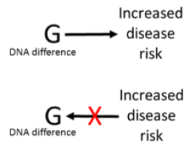 DNAdifference