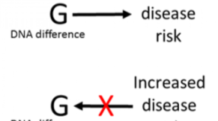 DNAdifference