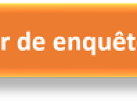 Enquete_button