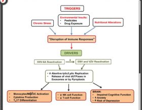 Herpesvirus_dUTPase_Model_ME_CFS