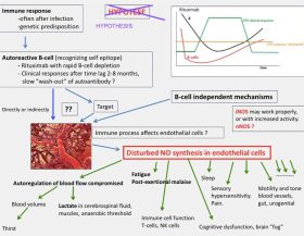 Immune-response-chart