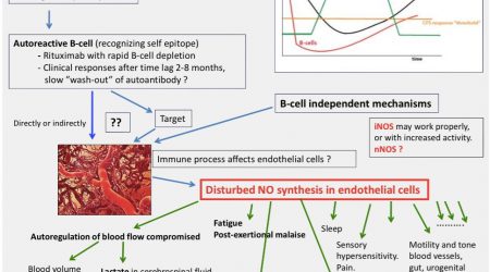 Immune-response-chart