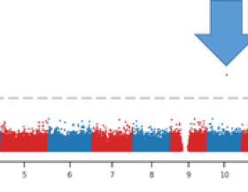 Manhattan-plot-biobank