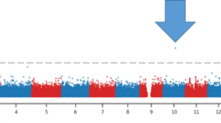 Manhattan-plot-biobank