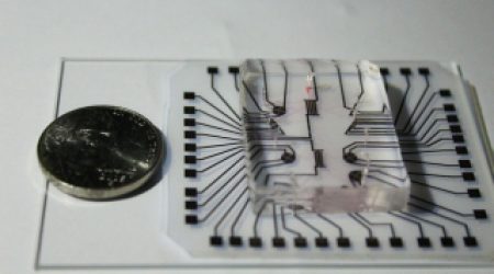 Nanochip2