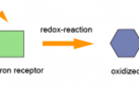 Redox-Reaction