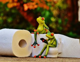 Toilet-kikkers_pixabay