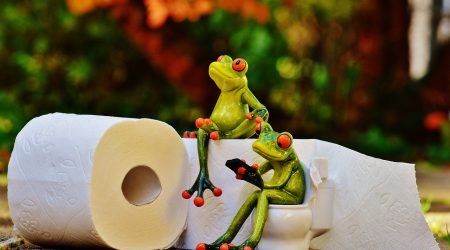 Toilet-kikkers_pixabay